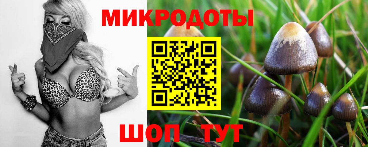 Псилоцибиновые грибы прущие грибы Новороссийск