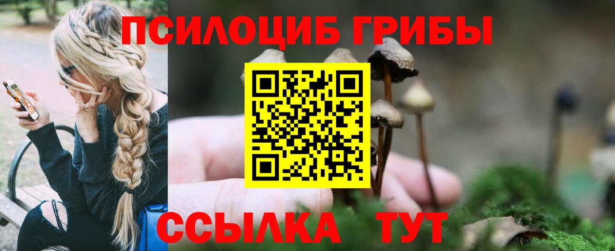 Псилоцибиновые грибы Psilocybe  Псилоцибиновые грибы Psilocybe  Вход с VPN  Новороссийск 