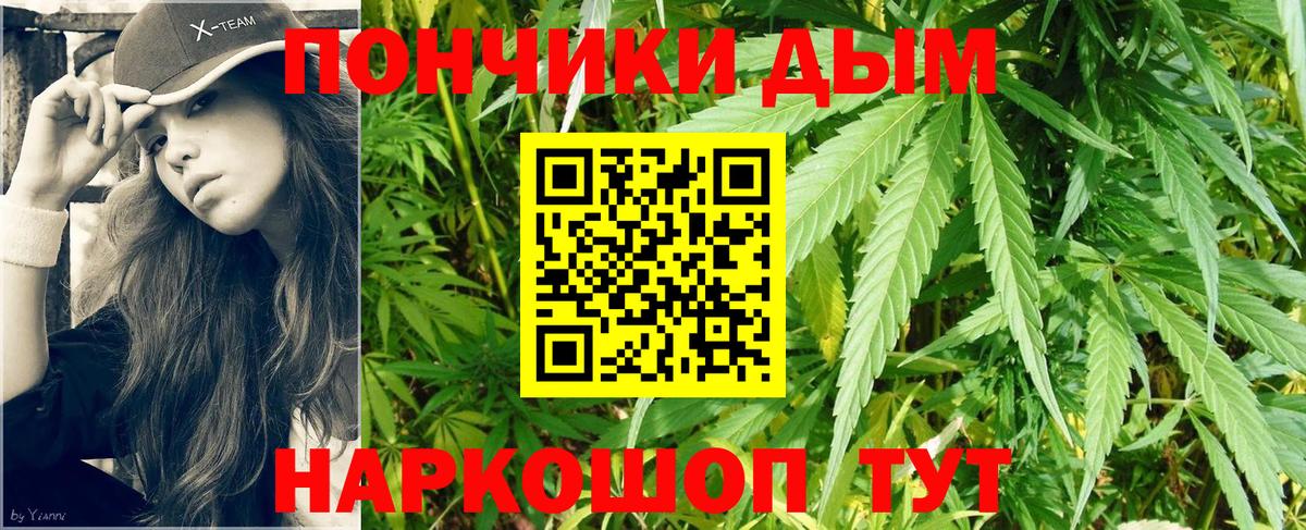 Канабис OG Kush Новороссийск